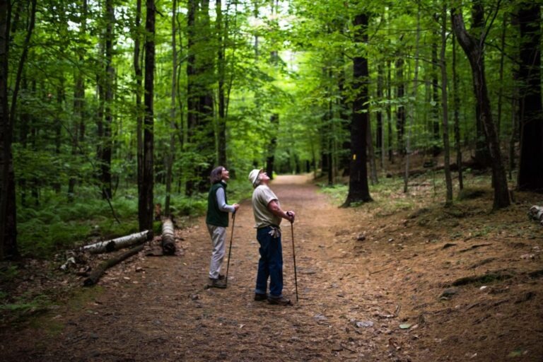 Why Does Spending Time Outdoors Improve Elderly Mental Health?